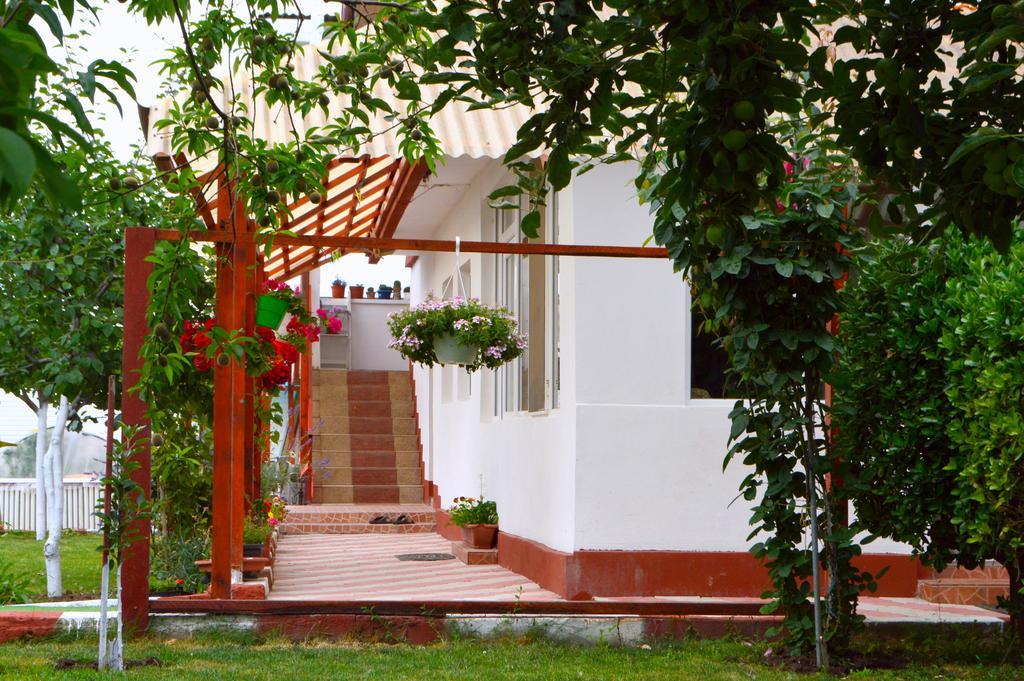 Отель Casa Gia Костинешти Экстерьер фото