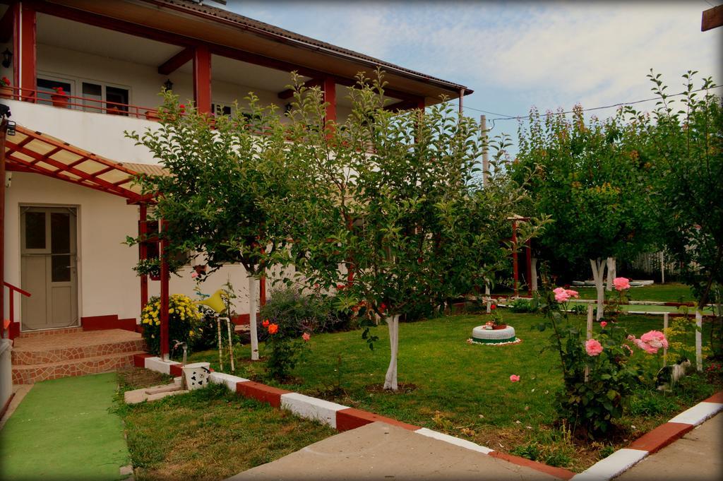 Отель Casa Gia Костинешти Экстерьер фото