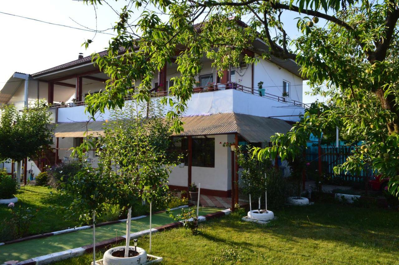 Отель Casa Gia Костинешти Экстерьер фото