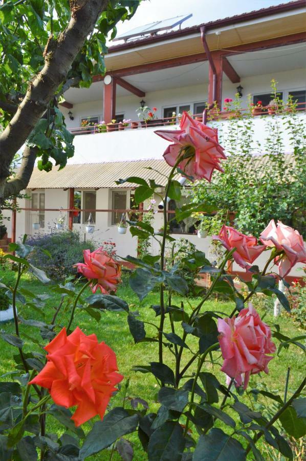 Отель Casa Gia Костинешти Экстерьер фото