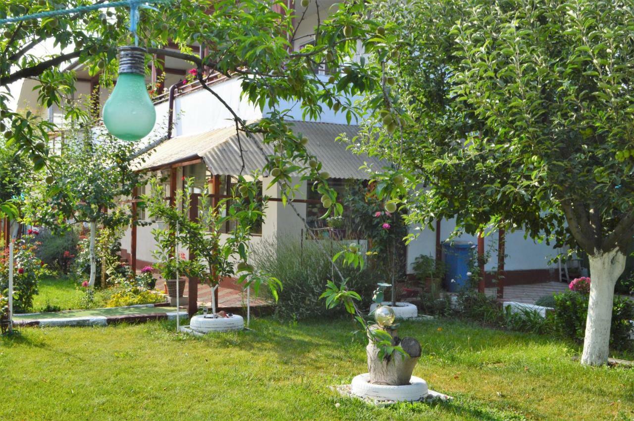 Отель Casa Gia Костинешти Экстерьер фото