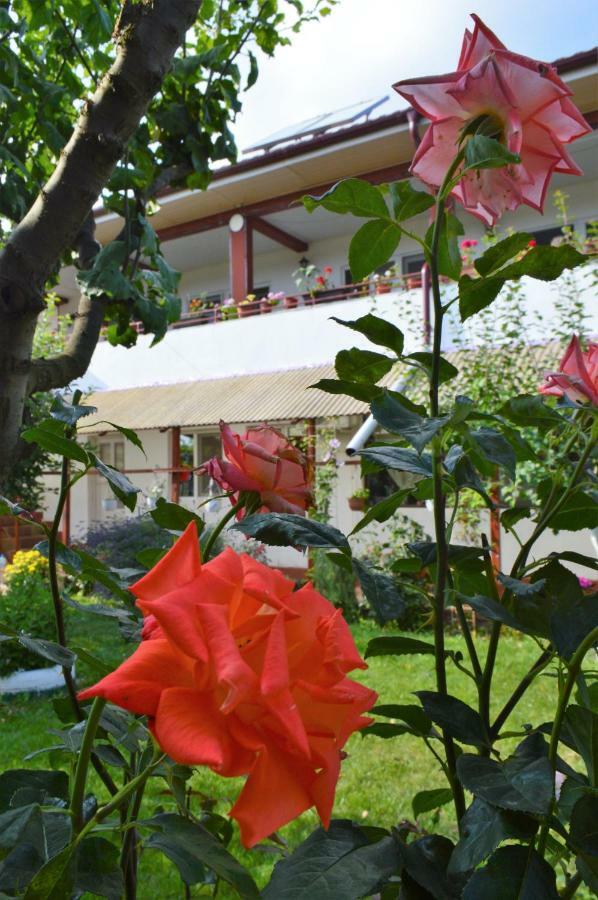 Отель Casa Gia Костинешти Экстерьер фото